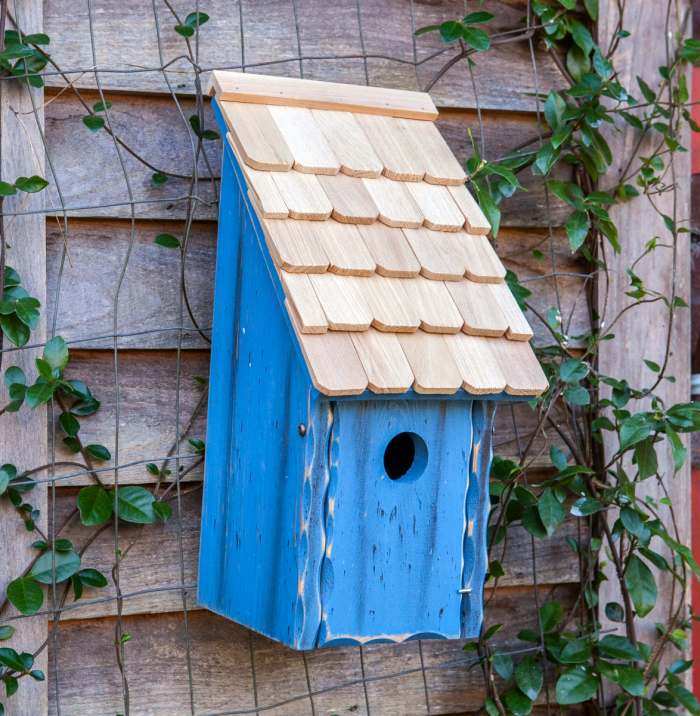 Bluebird Bunkhouse Bird House Blue